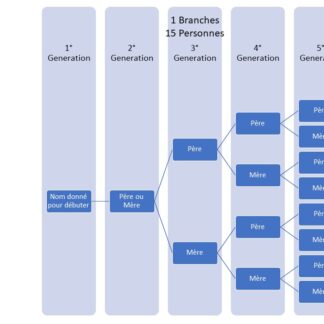 1 branche 5 générations