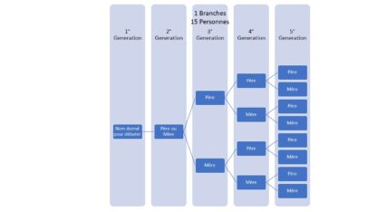 1 branche 5 générations