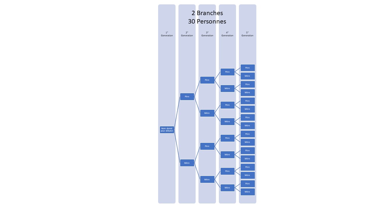2 branches 5 générations
