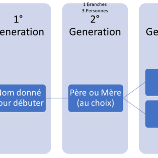 1 branche 3 générations