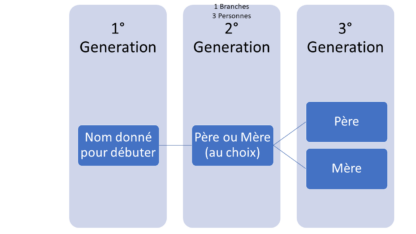 1 branche 3 générations