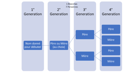 1 branche 4 générations