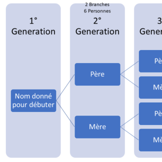 2 branche 3 générations