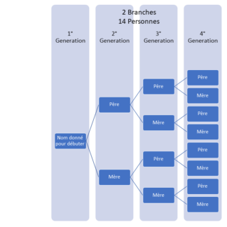 2 branche 4 générations